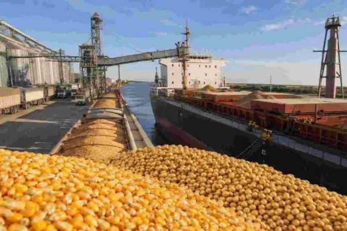Argentina Exportaciones agro en récord Argentina embarcó 69 millones de toneladas entre enero y julio Argentina | Exportaciones agro en récord: Argentina embarcó 69 millones de toneladas entre enero y julio