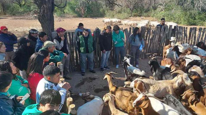 Argentina | Santiago del Estero será sede de las 4ª Jornadas de Ganadería Caprina Agroecológica del NOA Argentina | Santiago del Estero será sede de las 4ª Jornadas de Ganadería Caprina Agroecológica del NOA