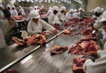 Australia y Brasil enfrentan nuevos obstáculos para exportar carne vacuna y ganado en pie Australia y Brasil enfrentan nuevos obstáculos para exportar carne vacuna y ganado en pie