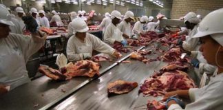 Australia y Brasil enfrentan nuevos obstáculos para exportar carne vacuna y ganado en pie