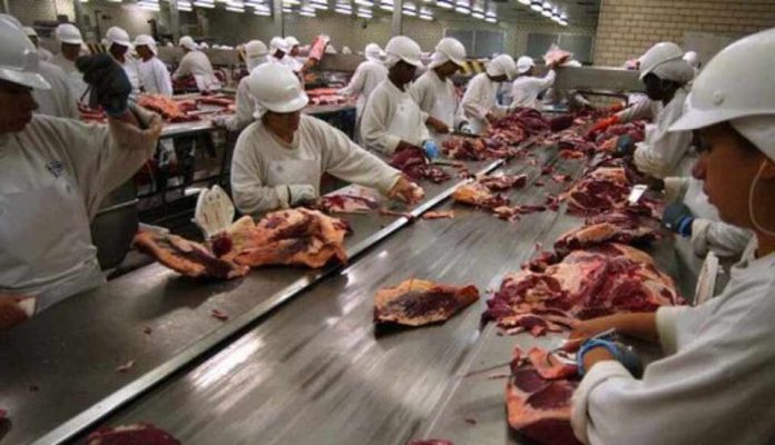 Australia y Brasil enfrentan nuevos obstáculos para exportar carne vacuna y ganado en pie Australia y Brasil enfrentan nuevos obstáculos para exportar carne vacuna y ganado en pie
