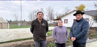 Autoridades despliegan evaluación en terreno en San Nicolás para activar apoyos a agricultores afectados por el frente climático Autoridades despliegan evaluación en terreno en San Nicolás para activar apoyos a agricultores afectados por el frente climático
