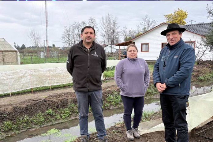 Autoridades despliegan evaluación en terreno en San Nicolás para activar apoyos a agricultores afectados por el frente climático Autoridades despliegan evaluación en terreno en San Nicolás para activar apoyos a agricultores afectados por el frente climático
