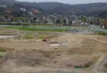 Anillos de crecimiento para entender el futuro de los bosques de Chile central frente a la sequía Anillos de crecimiento para entender el futuro de los bosques de Chile central frente a la sequía