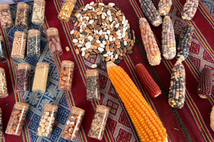 CITAGRO el nuevo centro científico que abordará los desafíos críticos del sistema agroalimentario chileno CITAGRO el nuevo centro científico que abordará los desafíos críticos del sistema agroalimentario chileno