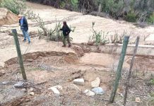 CNR abre concurso de emergencia con más de $6.500 millones para rehabilitar obras de riego afectadas por los temporales CNR abre concurso de emergencia con más de $6.500 millones para rehabilitar obras de riego afectadas por los temporales