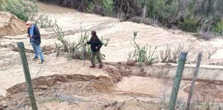 CNR abre concurso de emergencia con más de $6.500 millones para rehabilitar obras de riego afectadas por los temporales CNR abre concurso de emergencia con más de $6.500 millones para rehabilitar obras de riego afectadas por los temporales