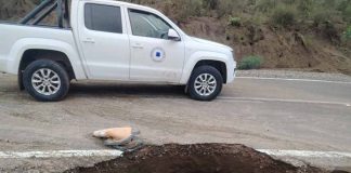 CONAF Coquimbo inicia recuperación de las áreas protegidas afectadas por el temporal