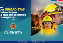 Reportaje | CONAF abre postulaciones para labores de combate de incendios forestales 2026-2027 Reportaje | CONAF abre postulaciones para labores de combate de incendios forestales 2026-2027