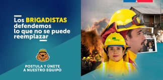 Reportaje | CONAF abre postulaciones para labores de combate de incendios forestales 2026-2027