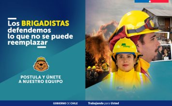 Reportaje | CONAF abre postulaciones para labores de combate de incendios forestales 2026-2027