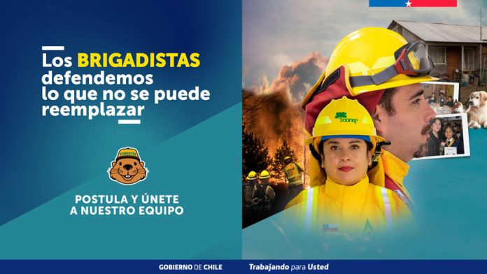 Reportaje | CONAF abre postulaciones para labores de combate de incendios forestales 2026-2027 Reportaje | CONAF abre postulaciones para labores de combate de incendios forestales 2026-2027