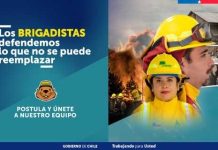 CONAF abre postulaciones para labores de combate de incendios forestales 2026-2027 CONAF abre postulaciones para labores de combate de incendios forestales 2026-2027