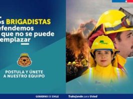 CONAF abre postulaciones para labores de combate de incendios forestales 2026-2027 CONAF abre postulaciones para labores de combate de incendios forestales 2026-2027
