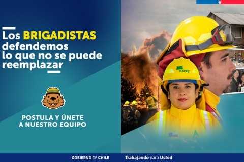 CONAF abre postulaciones para labores de combate de incendios forestales 2026-2027 CONAF abre postulaciones para labores de combate de incendios forestales 2026-2027