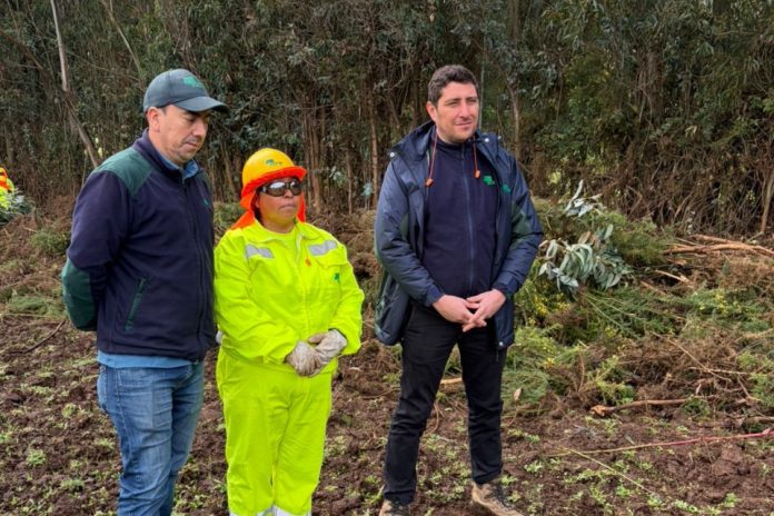 CONAF fortalece prevención de incendios forestales en comunidades de Temuco y Galvarino