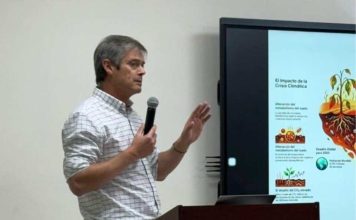 Reportaje | Agricultura regenerativa: la oportunidad para transformar la crisis de la cereza chilena Reportaje | Agricultura regenerativa: la oportunidad para transformar la crisis de la cereza chilena