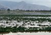 Cerca de 200 agricultores afectados por las intensas lluvias arroja el catastro elaborado por los equipos técnicos de INDAP Metropolitano Cerca de 200 agricultores afectados por las intensas lluvias arroja el catastro elaborado por los equipos técnicos de INDAP Metropolitano
