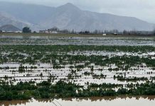 Cerca de 200 agricultores afectados por las intensas lluvias arroja el catastro elaborado por los equipos técnicos de INDAP Metropolitano Cerca de 200 agricultores afectados por las intensas lluvias arroja el catastro elaborado por los equipos técnicos de INDAP Metropolitano