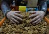 China impone aranceles del 51,6% a las nueces pecanas de México China impone aranceles del 51,6% a las nueces pecanas de México