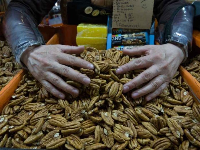 China impone aranceles del 51,6% a las nueces pecanas de México China impone aranceles del 51,6% a las nueces pecanas de México