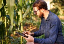 El papel de los códigos QR y los códigos de barras en la agricultura moderna