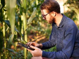 El papel de los códigos QR y los códigos de barras en la agricultura moderna