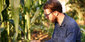 El papel de los códigos QR y los códigos de barras en la agricultura moderna El papel de los códigos QR y los códigos de barras en la agricultura moderna