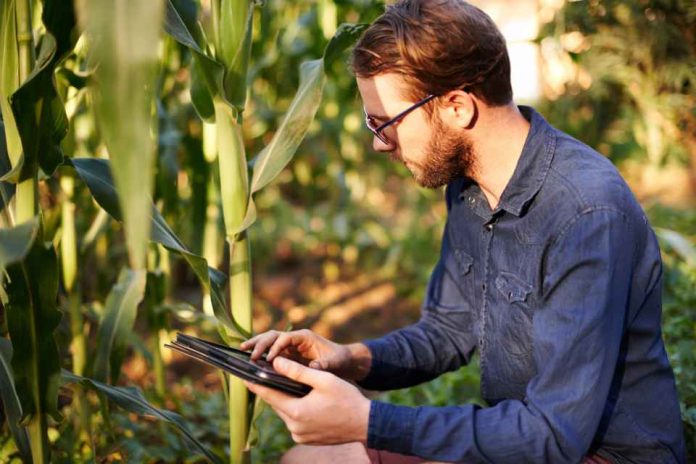 El papel de los códigos QR y los códigos de barras en la agricultura moderna
