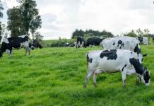 Colun e Indap renuevan su compromiso con la agricultura familiar campesina