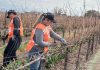 Bahco celebró la 14ta edición de su Concurso de Poda Profesional en Vid en Mendoza Bahco celebró la 14ta edición de su Concurso de Poda Profesional en Vid en Mendoza