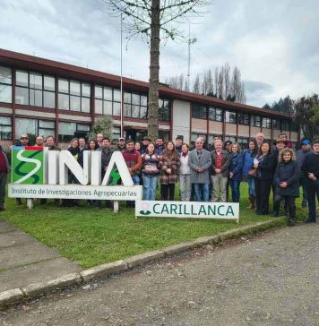 Reportaje | Consolidan el puente entre la agricultura y la salmonicultura Consolidan el puente entre la agricultura y la salmonicultura