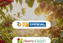 Copeval fortalece su vínculo con la fruticultura y participará en Cherry & Kiwi Conference 2026 Copeval fortalece su vínculo con la fruticultura y participará en Cherry & Kiwi Conference 2026