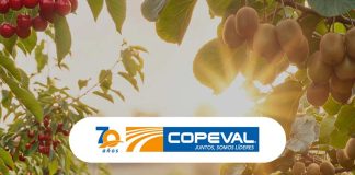 Copeval fortalece su vínculo con la fruticultura y participará en Cherry & Kiwi Conference 2026 Copeval fortalece su vínculo con la fruticultura y participará en Cherry & Kiwi Conference 2026