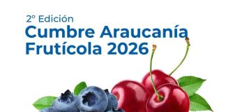 Copeval será parte de la segunda edición de la Cumbre Araucanía Frutícola 2026 en Temuco