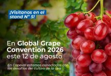 Copeval será parte del Global Grape Convention 2026, el principal encuentro internacional de la industria de la uva de mesa Copeval será parte del Global Grape Convention 2026, el principal encuentro internacional de la industria de la uva de mesa