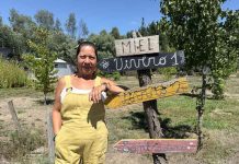 “Copihues de Rucalhue”: el emprendimiento rural que nació de una colección familiar de plantas