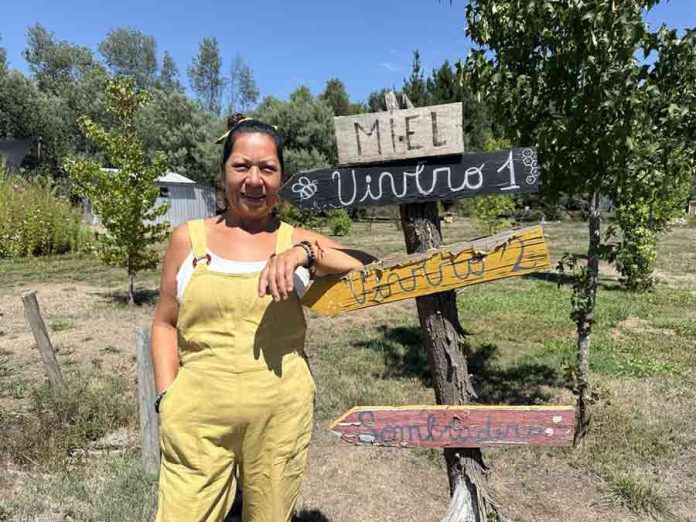 “Copihues de Rucalhue”: el emprendimiento rural que nació de una colección familiar de plantas “Copihues de Rucalhue”: el emprendimiento rural que nació de una colección familiar de plantas