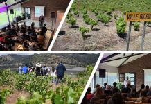 Corfo pone en acción crecimiento y desarrollo del Valle del Biobío como polo del vino y enoturismo Corfo pone en acción crecimiento y desarrollo del Valle del Biobío como polo del vino y enoturismo