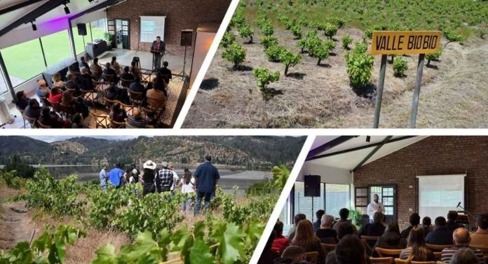 Corfo pone en acción crecimiento y desarrollo del Valle del Biobío como polo del vino y enoturismo Corfo pone en acción crecimiento y desarrollo del Valle del Biobío como polo del vino y enoturismo