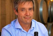 Reportaje | De la Biología del Suelo a la Copa: La Metabolómica y Terragénesis Redefinen el Futuro del Vino Premium Reportaje | De la Biología del Suelo a la Copa: La Metabolómica y Terragénesis Redefinen el Futuro del Vino Premium