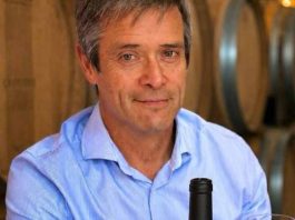 Reportaje | De la Biología del Suelo a la Copa: La Metabolómica y Terragénesis Redefinen el Futuro del Vino Premium