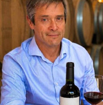 Reportaje | De la Biología del Suelo a la Copa: La Metabolómica y Terragénesis Redefinen el Futuro del Vino Premium