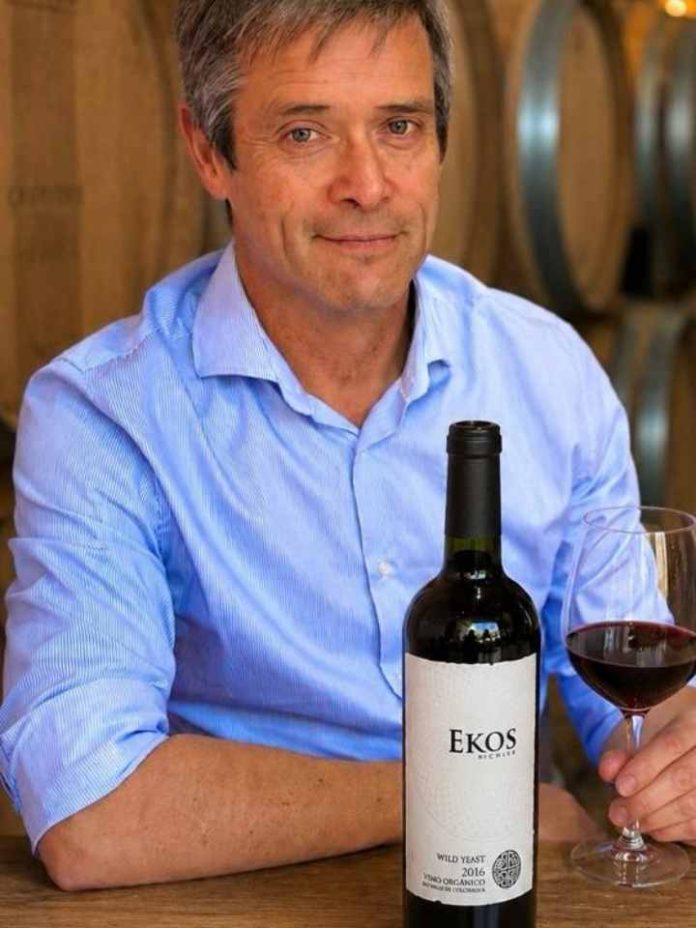 De la Biología del Suelo a la Copa La Metabolómica y Terragénesis Redefinen el Futuro del Vino Premium Reportaje | De la Biología del Suelo a la Copa: La Metabolómica y Terragénesis Redefinen el Futuro del Vino Premium
