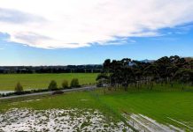 Del norte al sur: eventos climáticos extremos reabren el debate sobre la resiliencia de la agricultura chilena Del norte al sur: eventos climáticos extremos reabren el debate sobre la resiliencia de la agricultura chilena