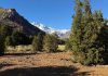 Día de los Parques Nacionales: ecosistemas que regulan el agua, almacenan carbono y sostienen la biodiversidad del país Día de los Parques Nacionales ecosistemas que regulan el agua, almacenan carbono y sostienen la biodiversidad del país