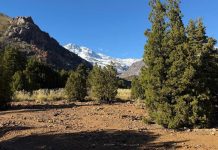 Día de los Parques Nacionales: ecosistemas que regulan el agua, almacenan carbono y sostienen la biodiversidad del país Día de los Parques Nacionales ecosistemas que regulan el agua, almacenan carbono y sostienen la biodiversidad del país