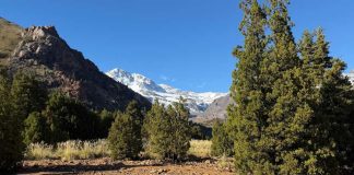 Día de los Parques Nacionales ecosistemas que regulan el agua, almacenan carbono y sostienen la biodiversidad del país