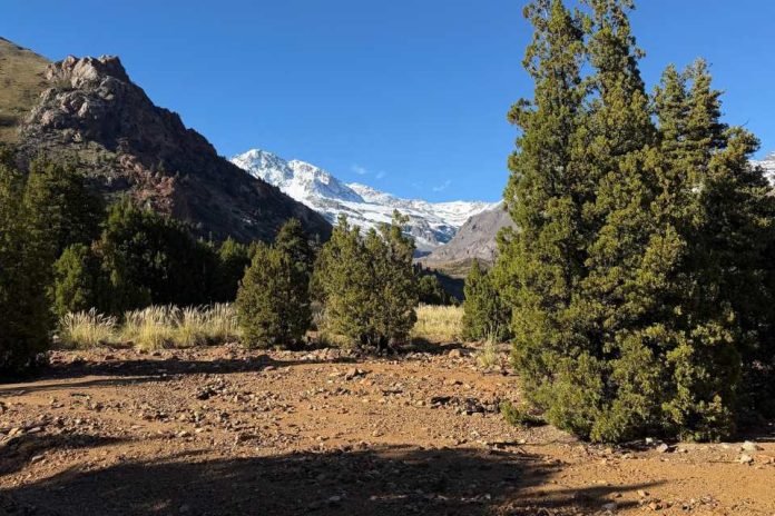 Día de los Parques Nacionales ecosistemas que regulan el agua, almacenan carbono y sostienen la biodiversidad del país