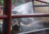 EE. UU.| Informe semanal sobre proteínas: Los mercados ganaderos se fortalecen a medida que los futuros alcanzan máximos de varias semanas. EE. UU.| Informe semanal sobre proteínas: Los mercados ganaderos se fortalecen a medida que los futuros alcanzan máximos de varias semanas.